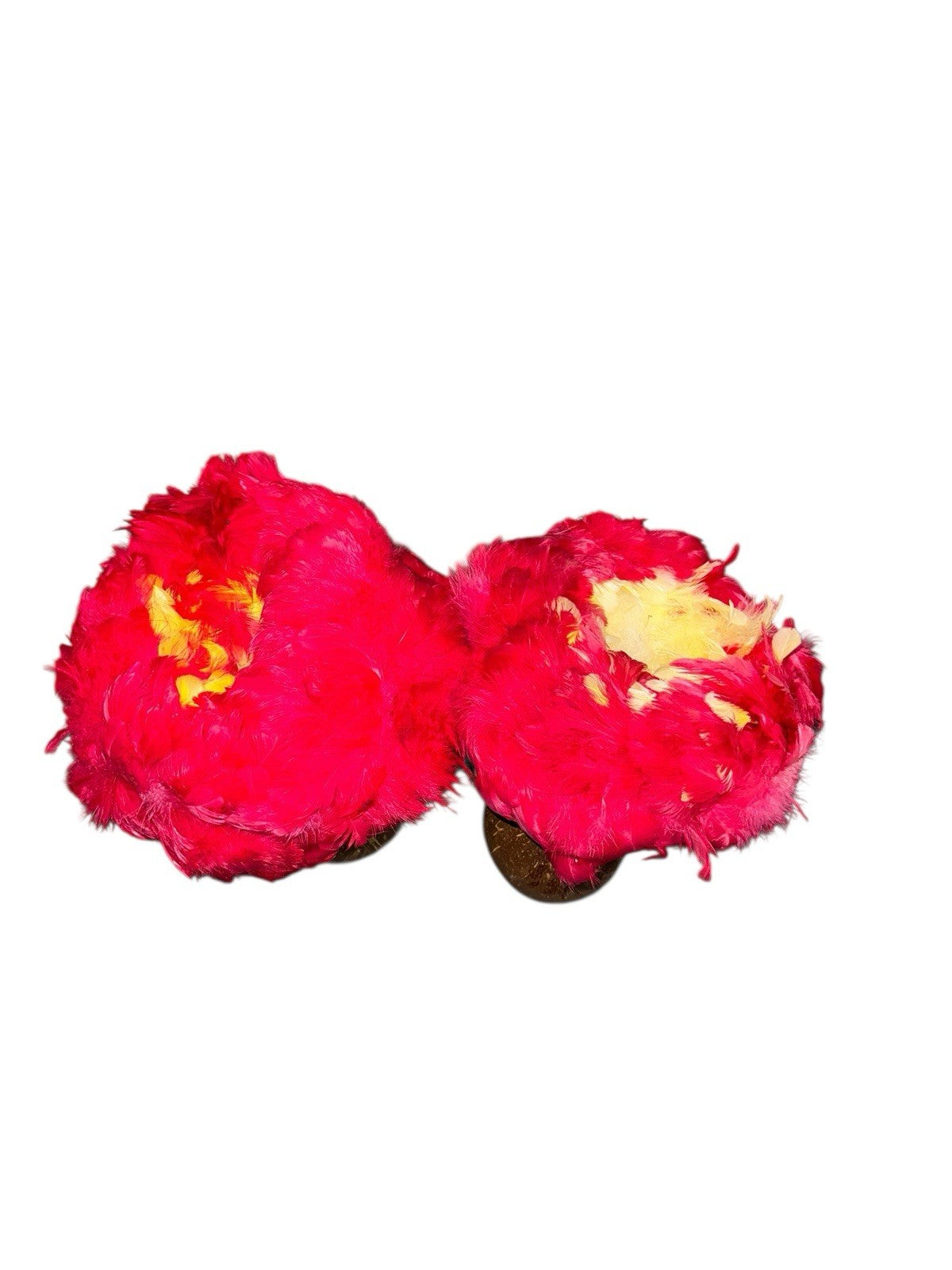 2 Uli Uli Hawaiian Polynesian Dance Red Yellow Feathers Hula Gourds Maracas