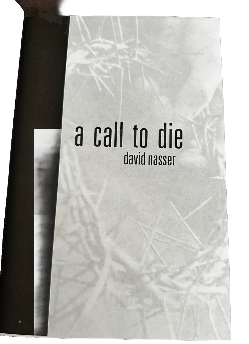 A Call to Die: A 40 Day Journey of Fasting from the World & Feasting on God